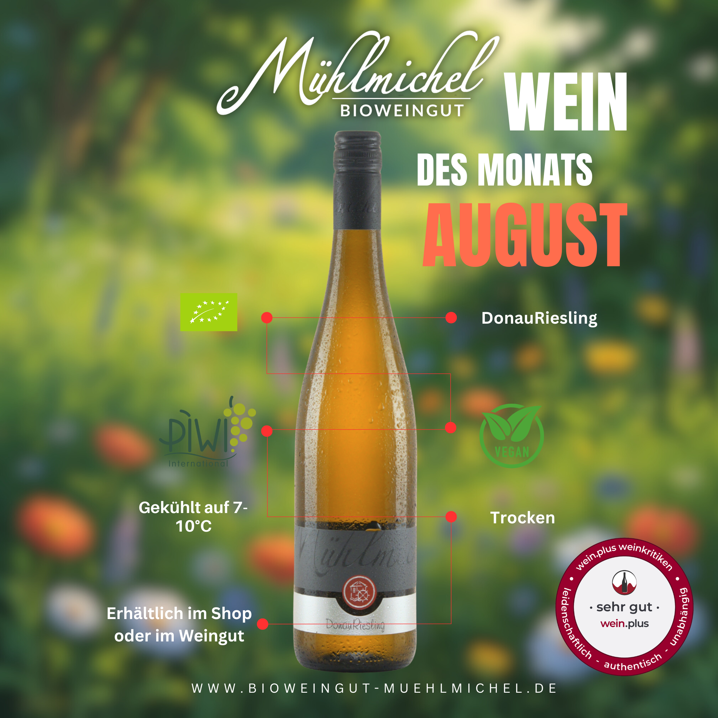 Wein des Monats 6 Flaschen