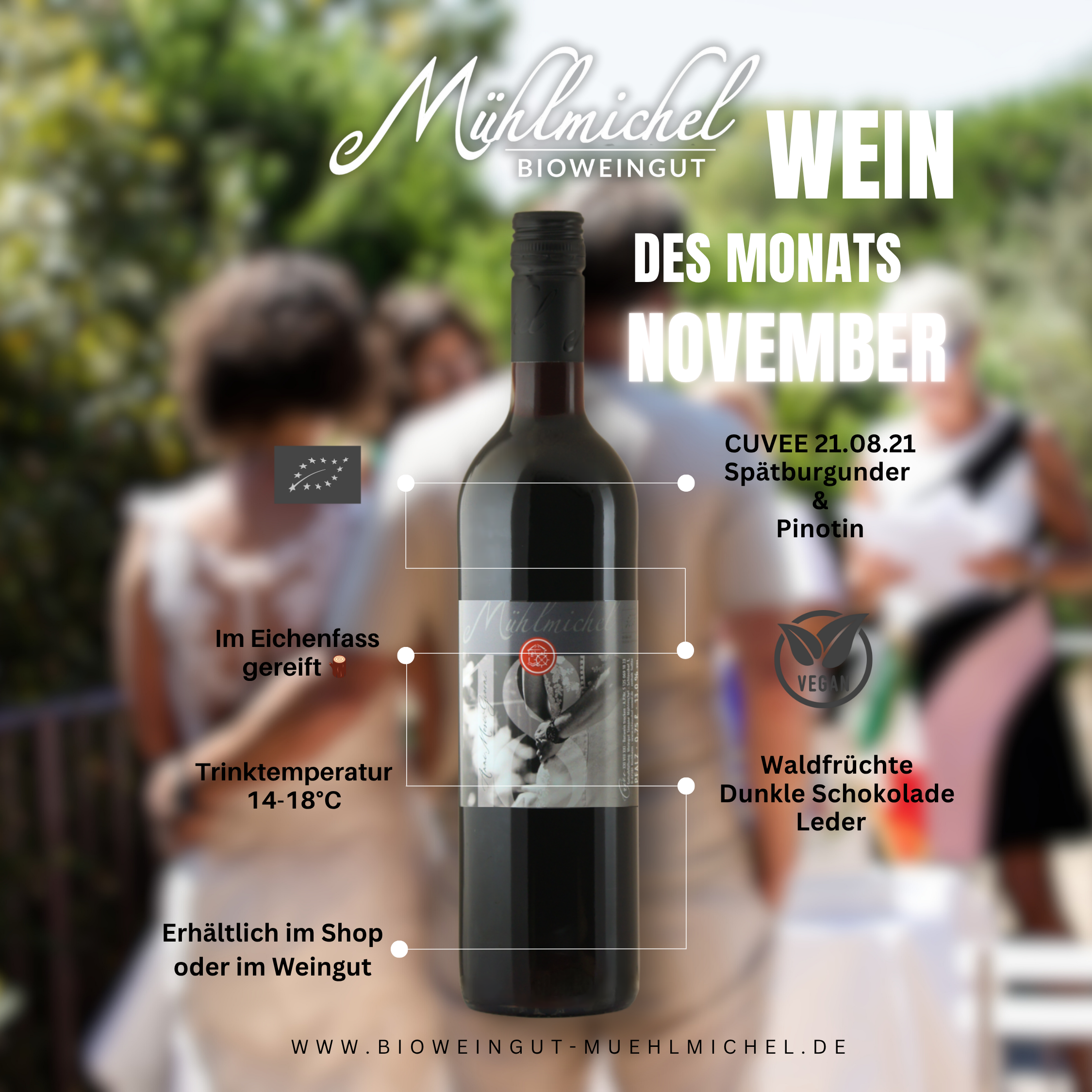 Wein des Monats 6 Flaschen