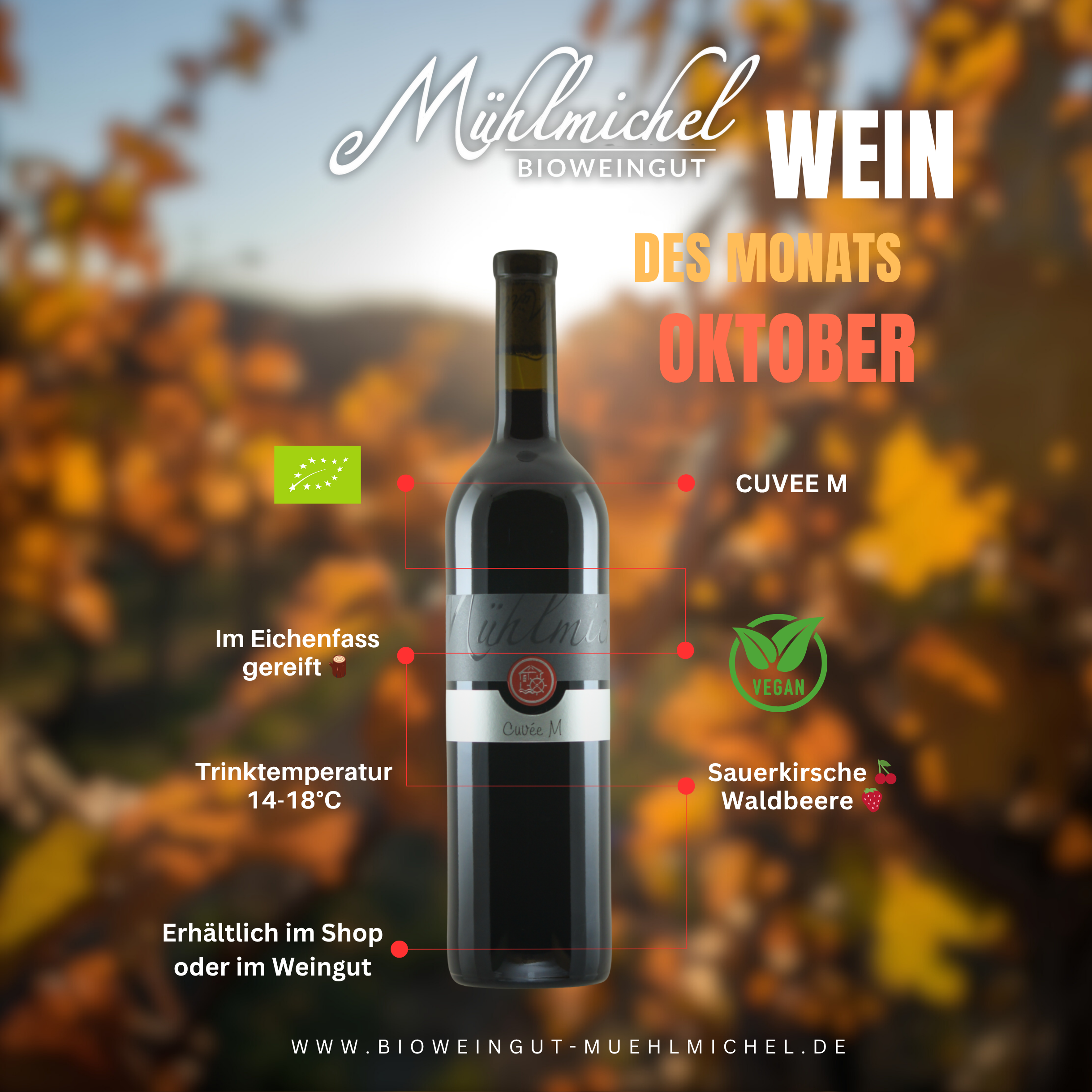 Cuvee M Rotwein trocken  Bio Weingut Mühlmichel Weingut 